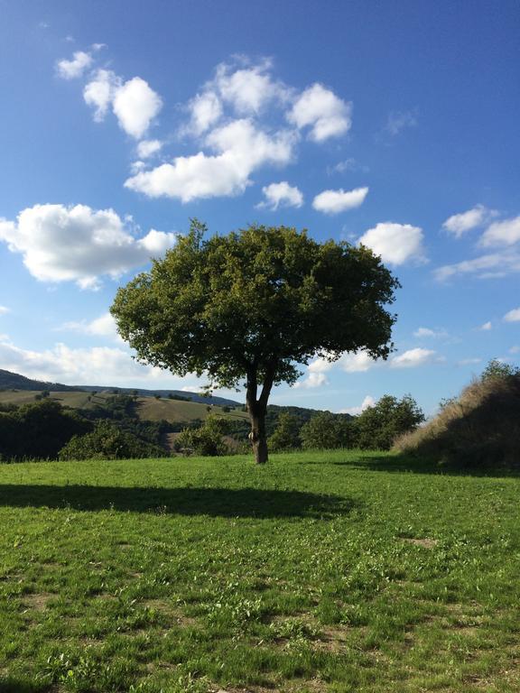 Agriturismo La Vita E Bella Villa Fabriano Exteriör bild